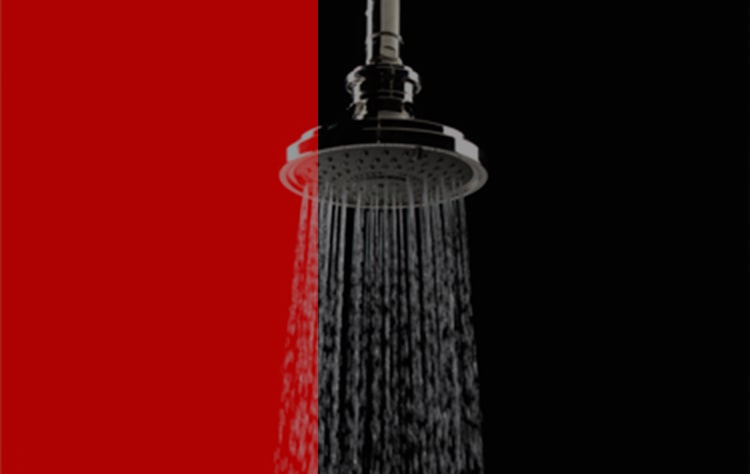 Transitional Showerhead with Adjustable Spray