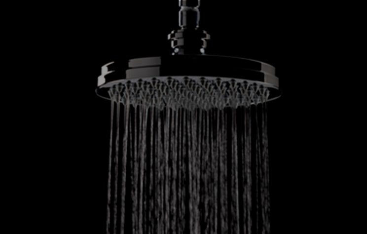 Transitional Rain Showerhead