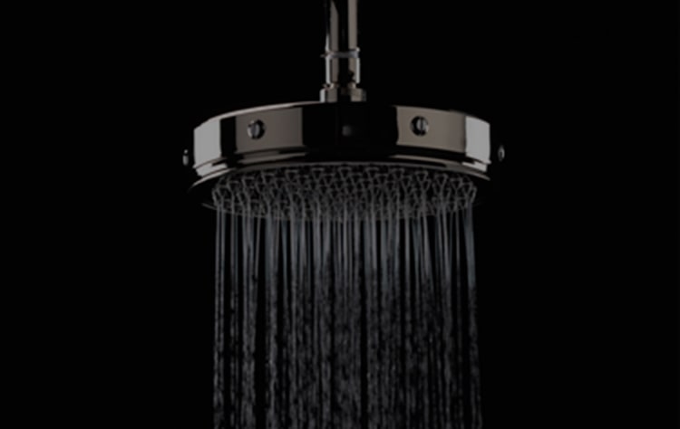 Specialty Rain Showerhead