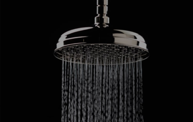 Classic Rain Showerhead