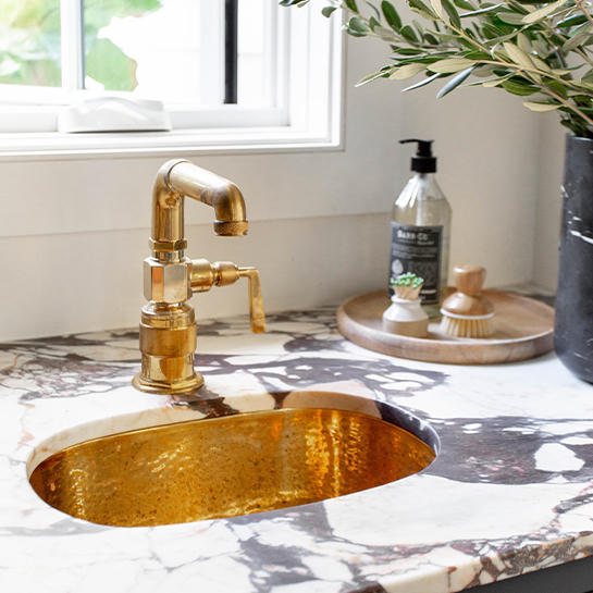 R.W. Atlas Bar Faucet