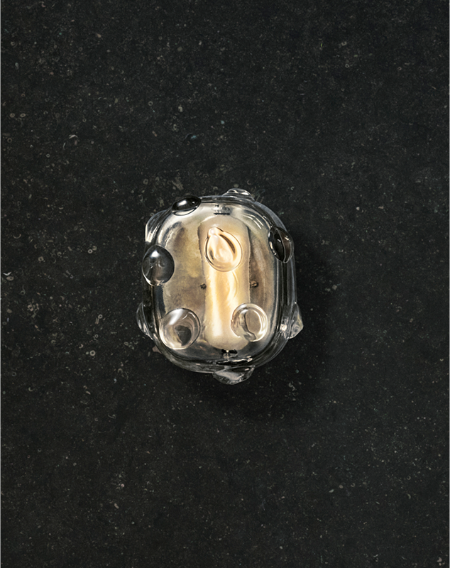 _the_ CAMILLA _Collection_